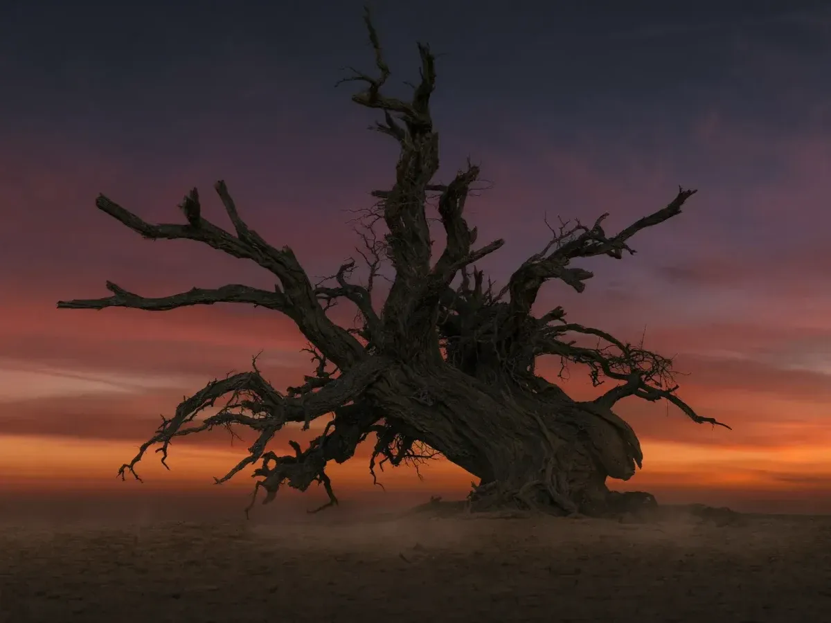 Seedream Pro sample: Dead tree against a red sunset